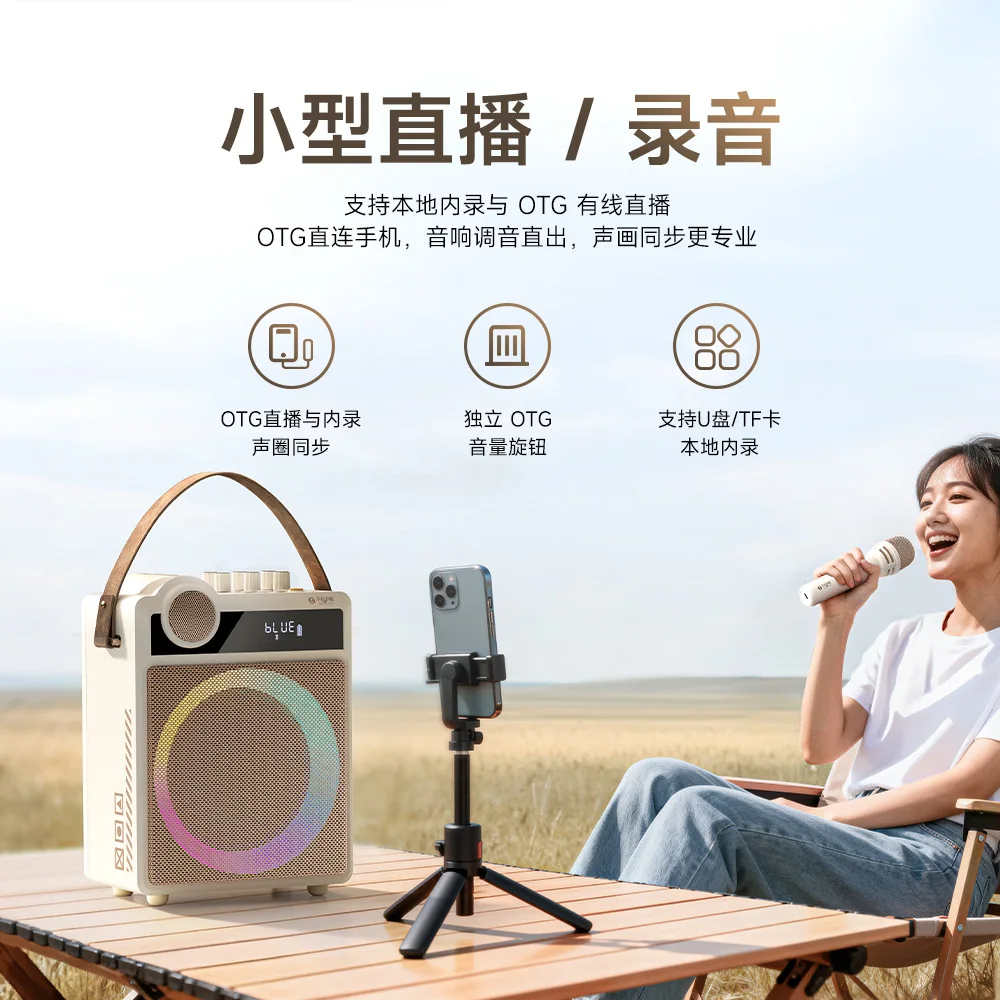 N6L Portable Karaoke Bluetooth Speaker – Dual Wireless Mic, 6.25" Woofer, RGB Light Ring, 12-Hour Battery